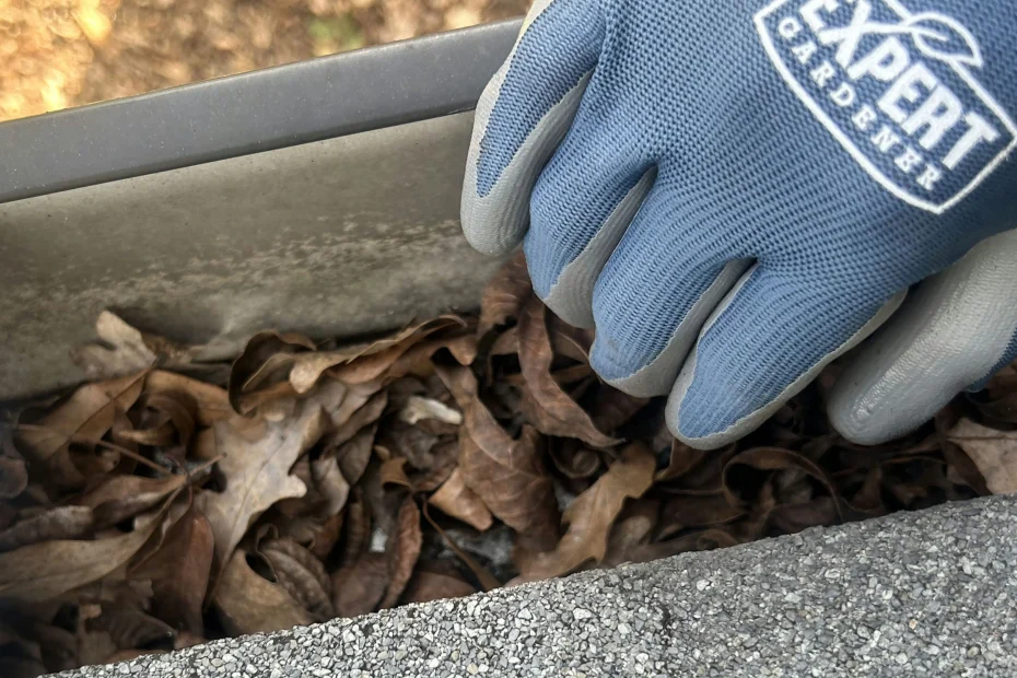 Gutter Cleaning West University Place